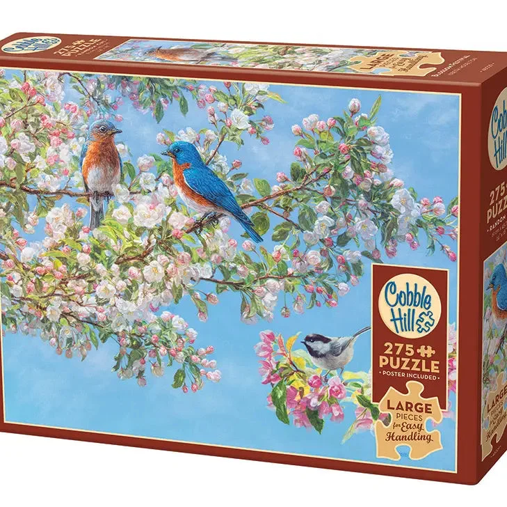 cedarburgtoyco1915848