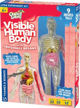 cheekymonkeytoys1902647