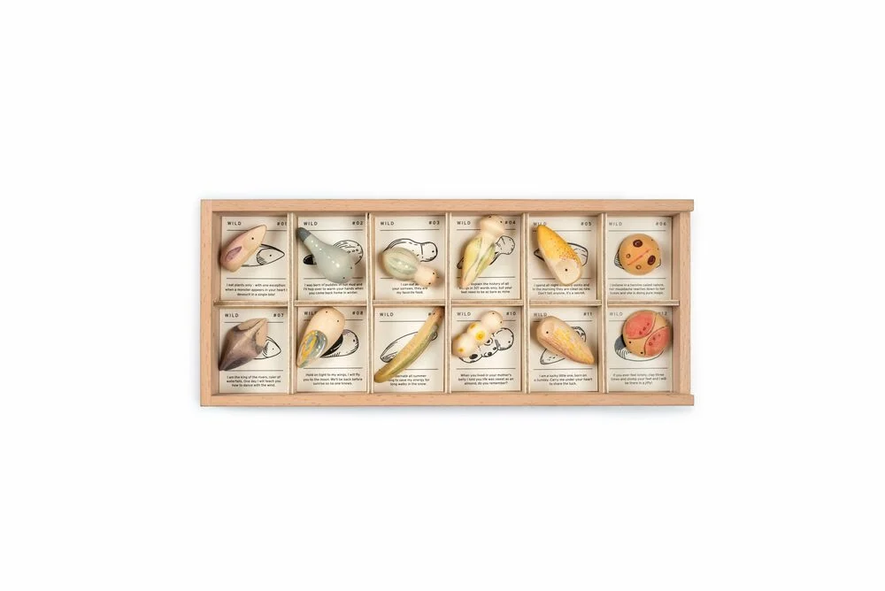littlegoosetoys1916301