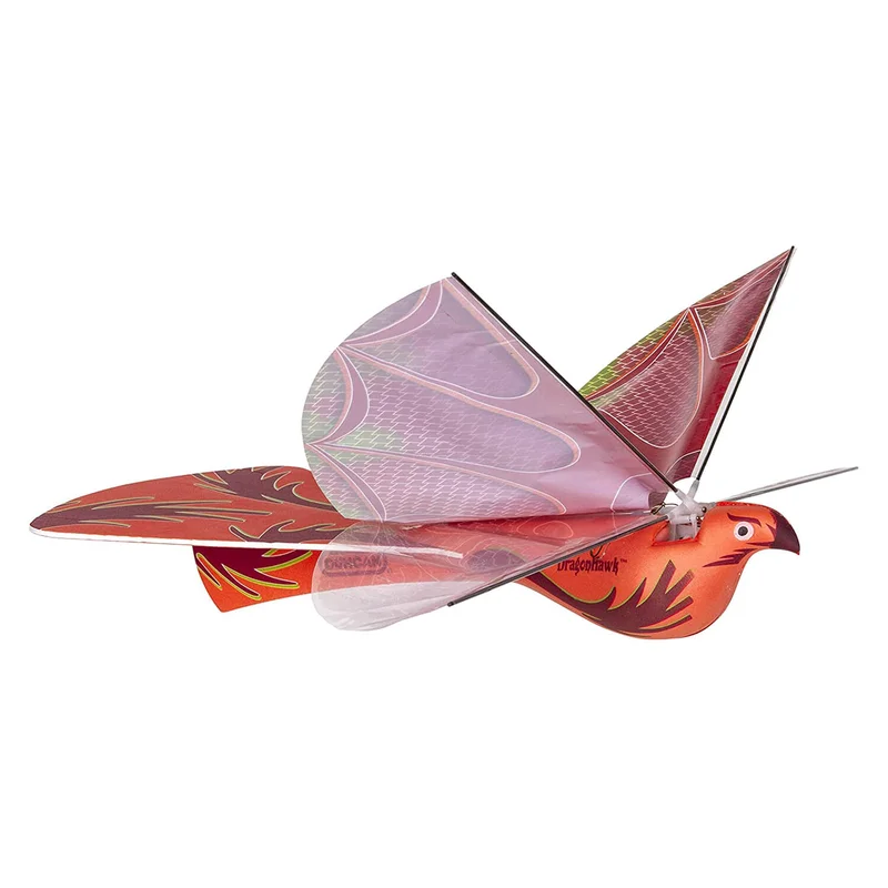 maziply11909654