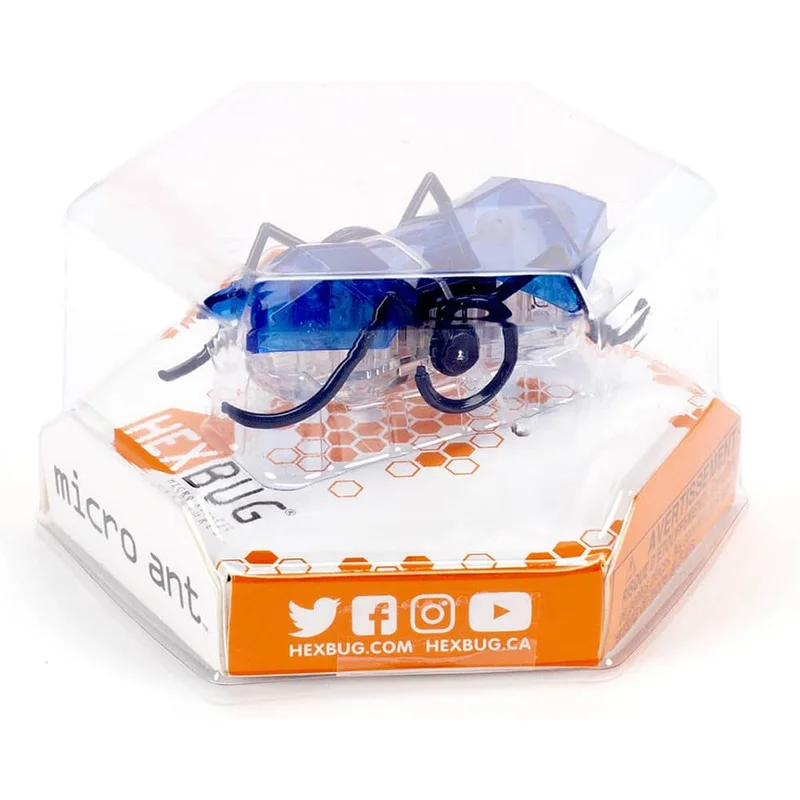 maziply21898714