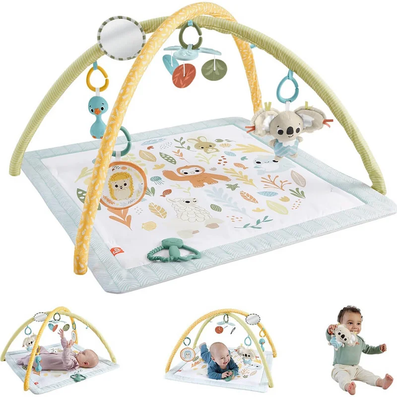 maziply21905509