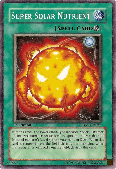 thehaventabletop32228228