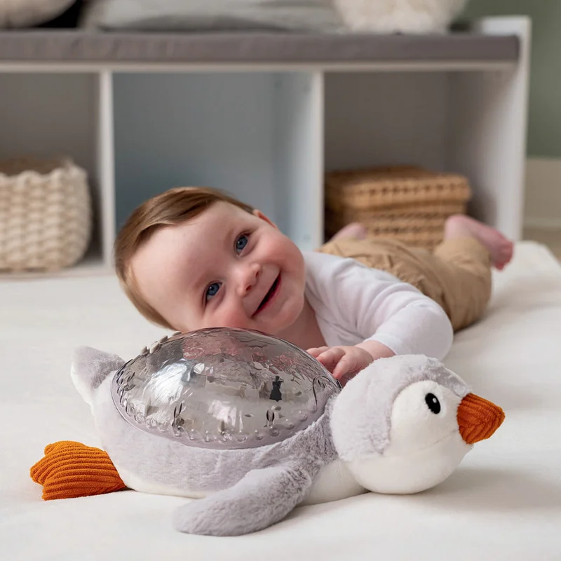 timbuktoys1937114