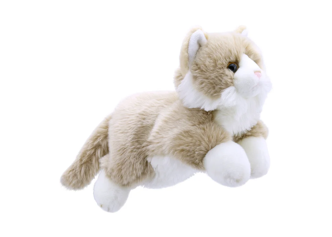 toychestnh1889466
