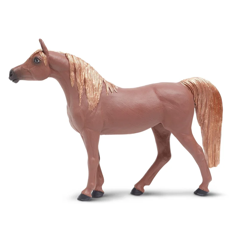 toychestnh1913784
