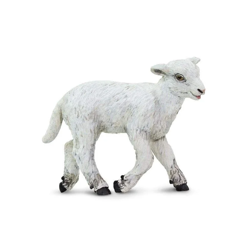 toychestnh1925050