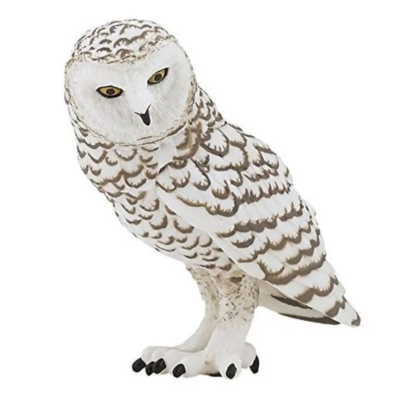 toysandco-2067478