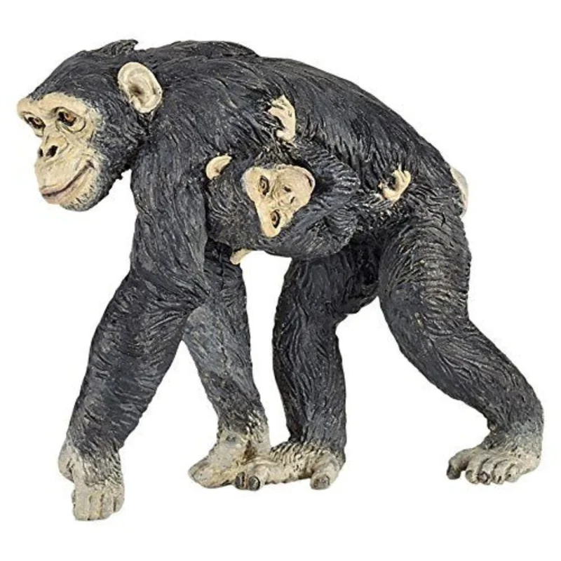 toysandco-2067749