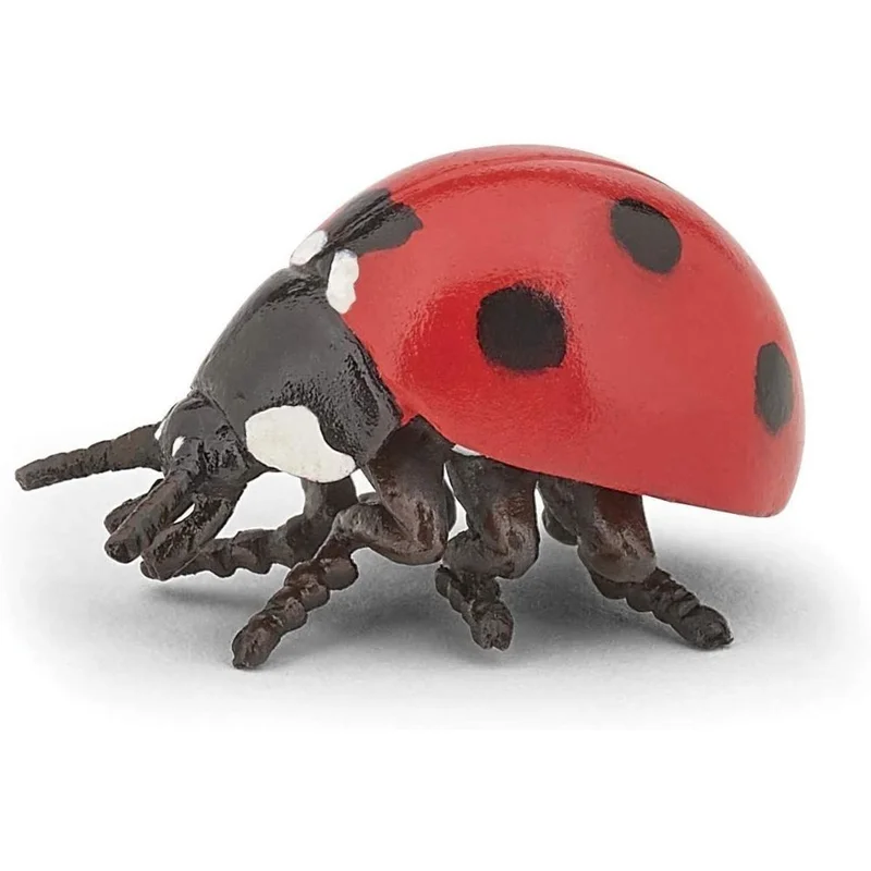 toysandco-2068112