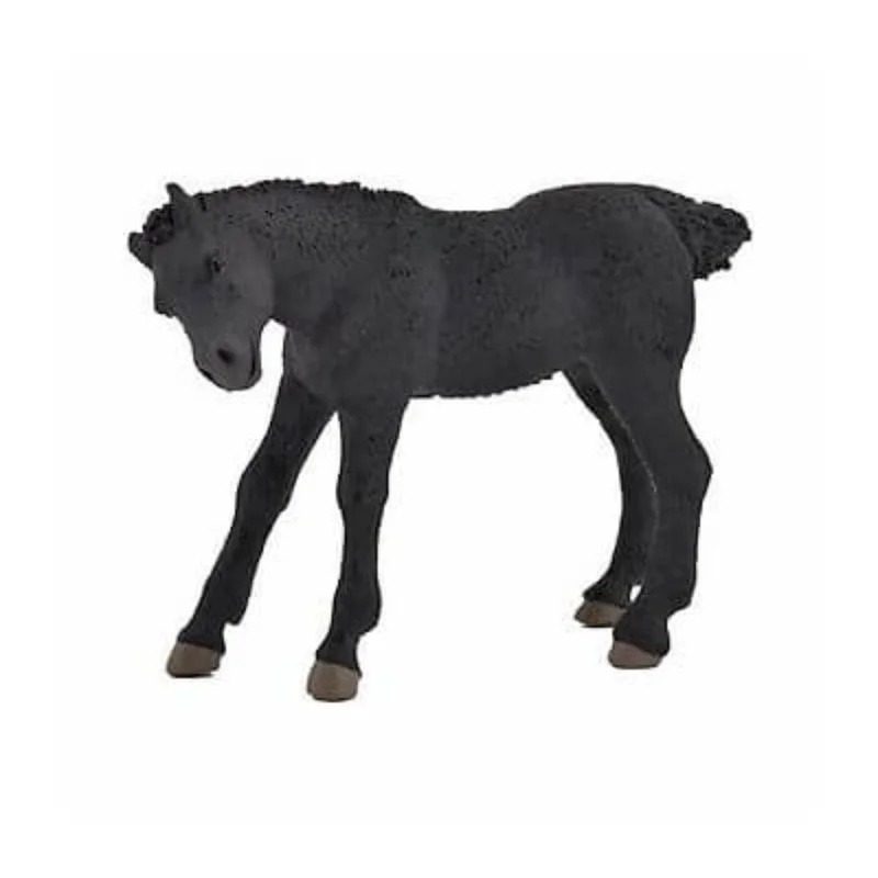 toysandco-2068392