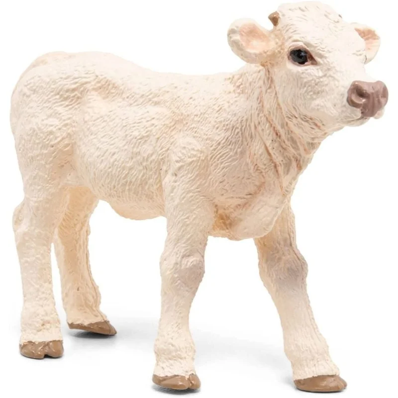 toysandco-2068766