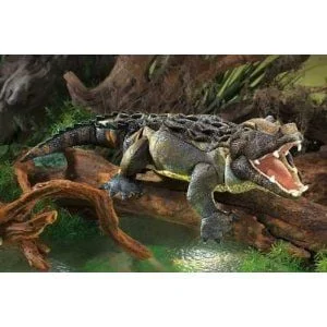 toysandco-2070404