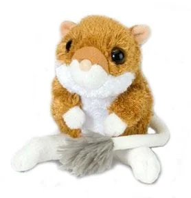 toysandco-2078034