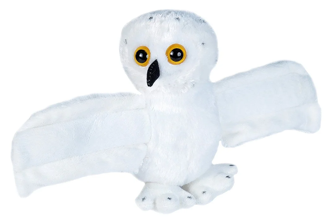 toysandco-2078448