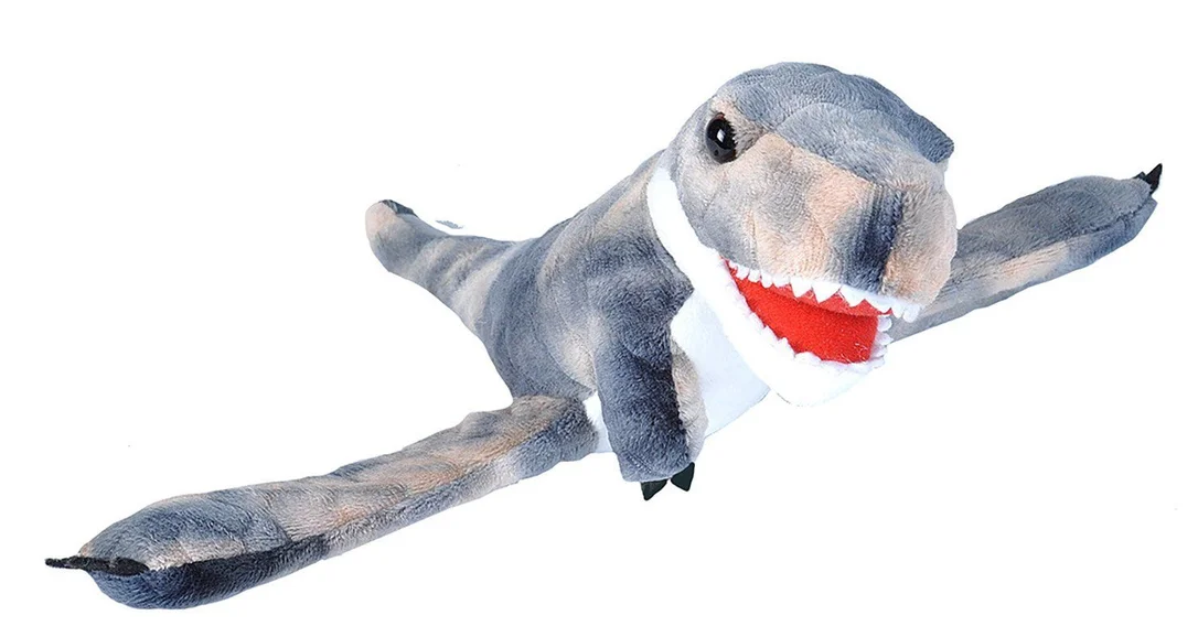 toysandco-2078453