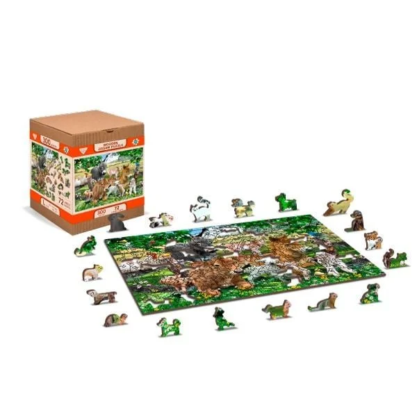 toysandco-2081399