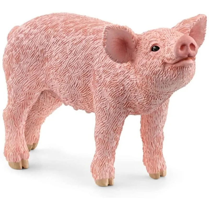 toysandco-2085478