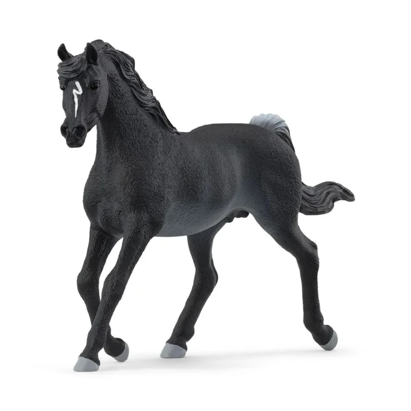 toysandco-2085688