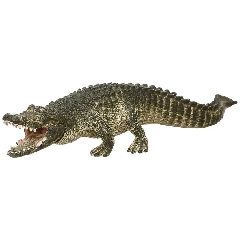 toysandco-2085741