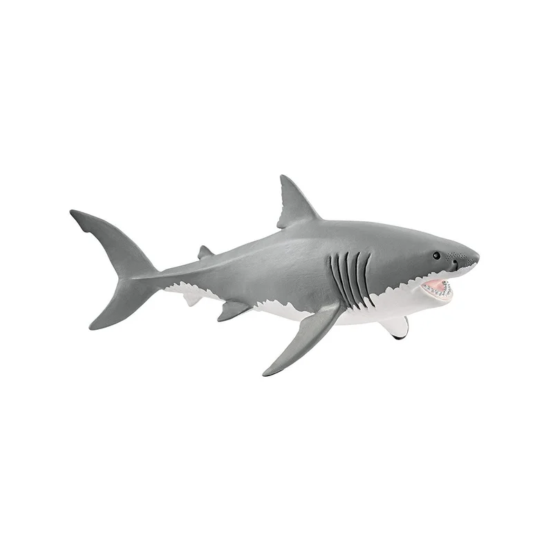 toysandco-2085805
