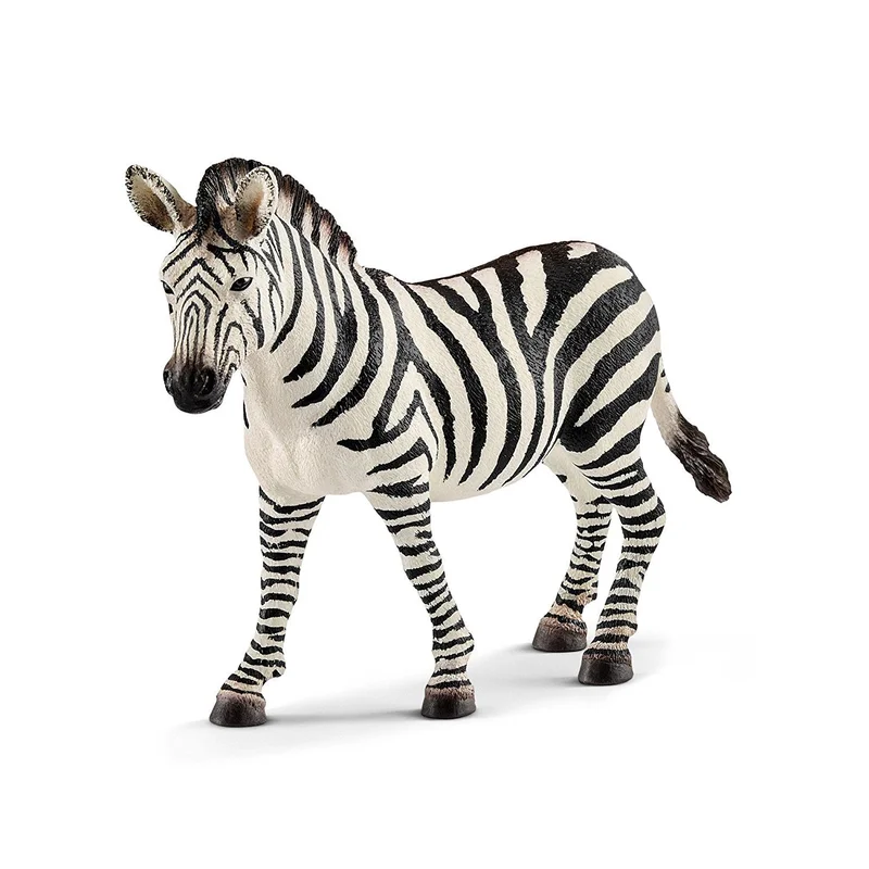 toysandco-2085808