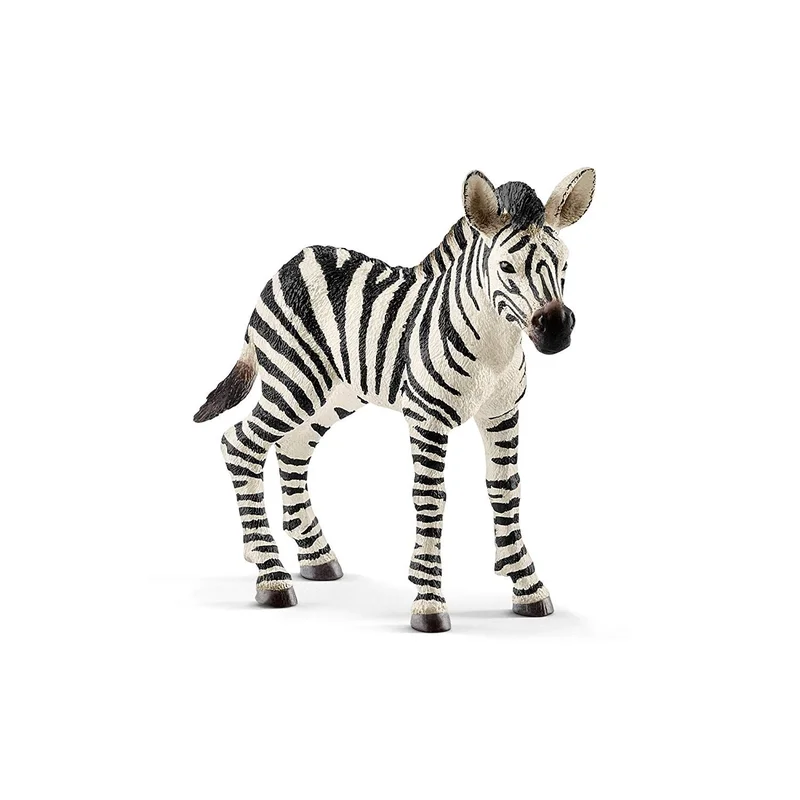 toysandco-2085812