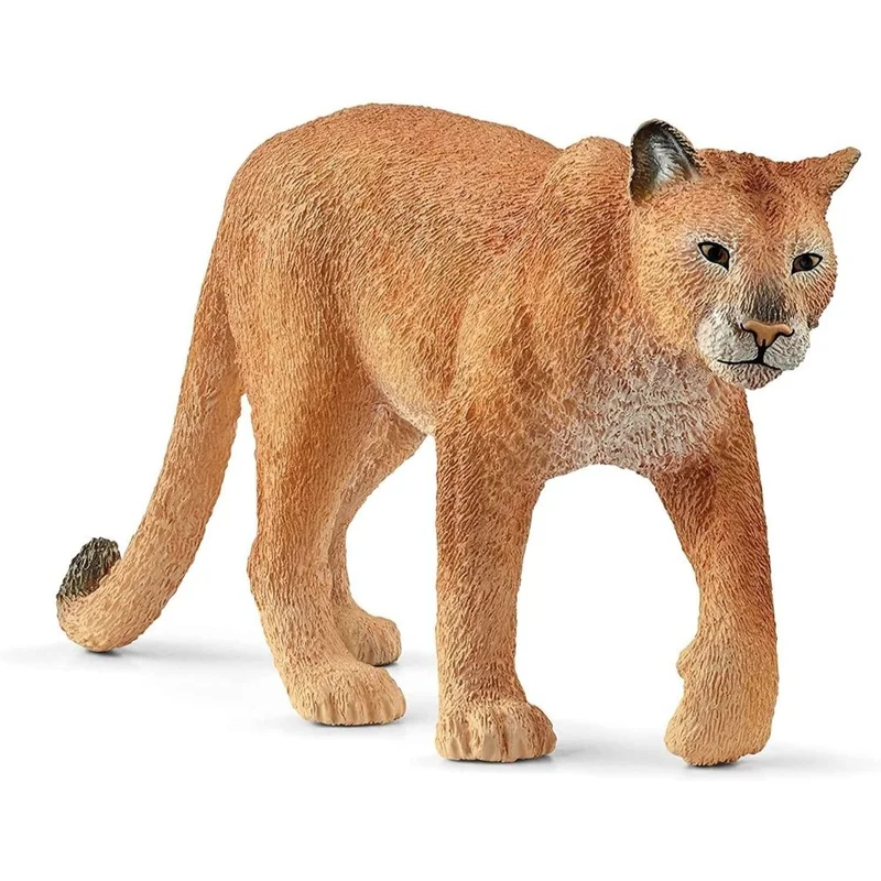 toysandco-2085874