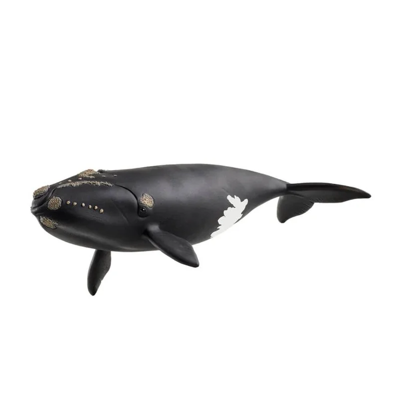 toysandco-2085974