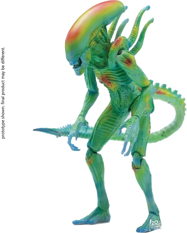 toytooth62218105