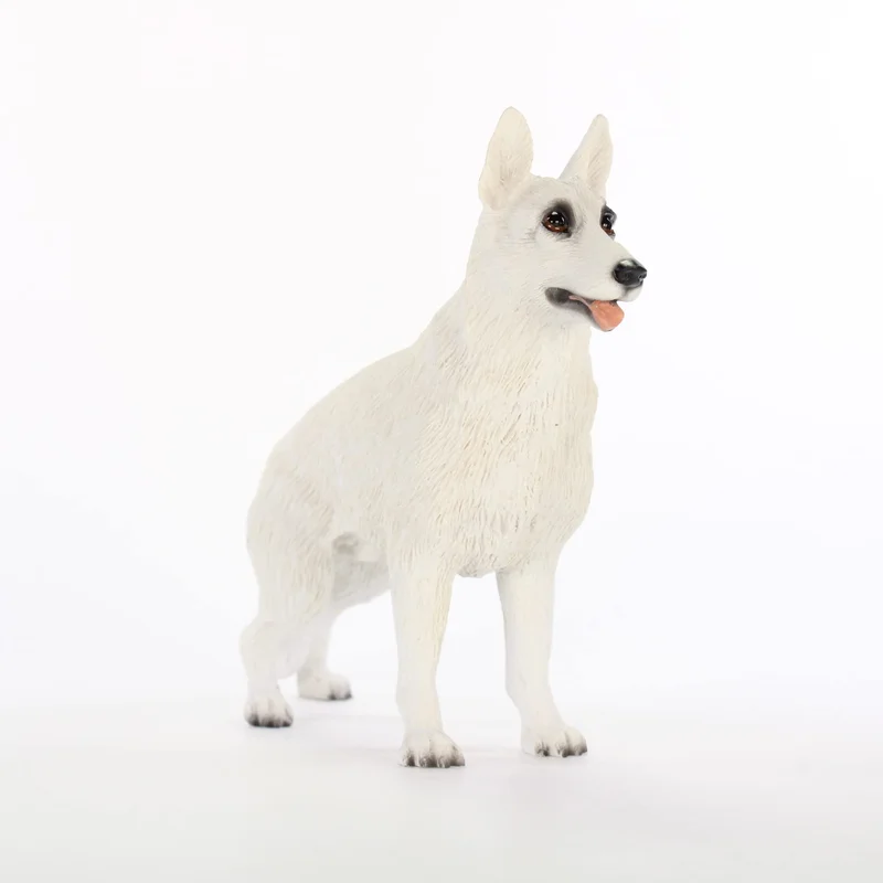 toytooth62226805